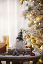 Load image into Gallery viewer, 3 Pieces Sitting Gnome, Christmas Table Home Ornaments For Holiday Party Gifts - White / Gray