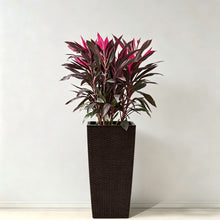 Load image into Gallery viewer, Indoor Outdoor Planter With Automatic Watering System