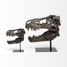 Load image into Gallery viewer, Authentic Replica T Rex Skull Sculpture - Brown
