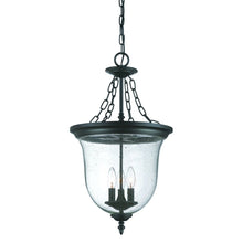 Load image into Gallery viewer, Belle 3-Light Hanging light - Matte Black