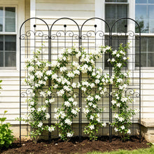 Load image into Gallery viewer, Metal Garden Trellis For Climbing Plants Outdoor Rustproof Plant Support Rose Trellis Netting Trellis