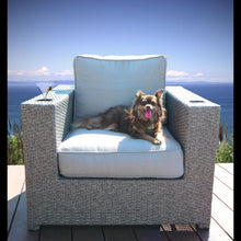 Load image into Gallery viewer, Elegant Patio Chair With Cushions - Gray