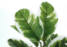 Load image into Gallery viewer, 27" Tall, Artificial Plant, Rubber, Indoor, Faux, Fake, Table, Greenery, Potted, Real Touch, Decorative - Green / Black