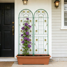 Load image into Gallery viewer, Metal Garden Trellis Rustproof Trellis For Climbing Plant Outdoor Flower Support