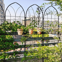 Load image into Gallery viewer, Metal Garden Trellis Rustproof Trellis For Climbing Plant, Outdoor Flower Support
