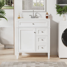 Load image into Gallery viewer, Bathroom Vanity With Top Sink, 2 Drawers & Tip Out Drawer