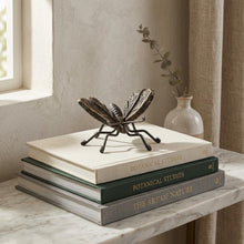 Load image into Gallery viewer, Butterfly Hand Painted Tabletop Sculpture - Black / Butter