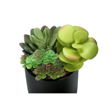 Load image into Gallery viewer, Artificial Succulent Plants (Set of 2)