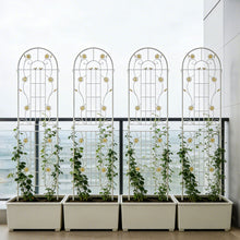 Load image into Gallery viewer, Metal Garden Trellis Rustproof Trellis For Climbing Plant Outdoor Flower Support