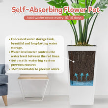 Load image into Gallery viewer, Indoor Outdoor Planter With Automatic Watering System