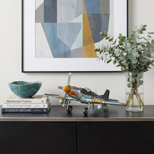 Load image into Gallery viewer, Mustang Hand Painted Decorative Airplane - Gray
