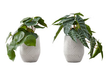 Load image into Gallery viewer, Artificial Alocasia Plant (Set of 2)