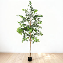 Load image into Gallery viewer, 6Ft Artificial Ficus Tree With Natural Trunk In Pot For Indoor Home Office Decor - Green Leaves