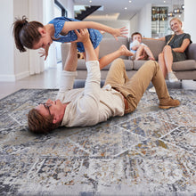 Load image into Gallery viewer, Payas - Traditional Area Rug