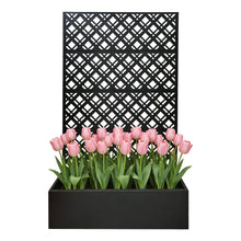 Load image into Gallery viewer, Rhombus Planter Raised Garden Bed With Trellis For Climbing Plants - Black
