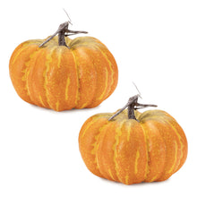 Load image into Gallery viewer, Plastic Pumpkin Thanksgiving Pumpkin Tabletop Sculpture (Set of 2) - Orange / Yellow