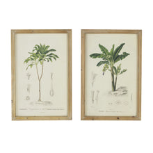 Load image into Gallery viewer, Tree Framed Print (Set of 2) - Multicolor