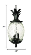 Load image into Gallery viewer, Lanai 3-Light Black Coral Hanging Light