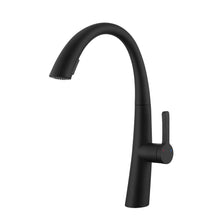 Load image into Gallery viewer, Elegant Single Handle Stainless Steel Pull Out Kitchen Faucet With High Arch Spout