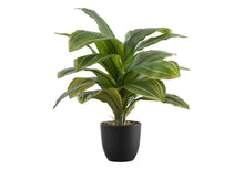 Load image into Gallery viewer, 17" Tall, Artificial Plant, Dracaena, Indoor, Faux, Fake, Table, Greenery, Potted, Real Touch, Decorative - Green / Black