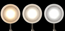 Load image into Gallery viewer, Brushed Silver LED Adjustable Desk Lamp