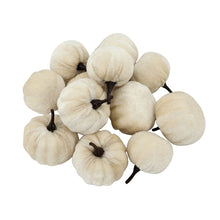 Load image into Gallery viewer, Velvety Pumpkin In Mesh Bag, Bag / 12, For Holiday Harvest Festival Fall Festival & Thanksgiving (Set of 4) - White