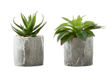 Load image into Gallery viewer, 6" Tall, Artificial Plant, Succulent, Indoor, Faux, Fake, Table, Greenery, Potted, Decorative (Set of 2) - Green / Gray