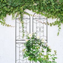 Load image into Gallery viewer, Garden Trellis, Rustproof Support For Climbing Plants