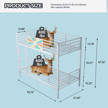 Load image into Gallery viewer, Bunk Bed, Convertible To 2 Separate Twin Size Beds & Full Length Guardrail & Ladder, No Box Spring Needed - White