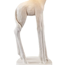 Load image into Gallery viewer, 17" White Textured Giraffe Table Lamp With White Drum Shade