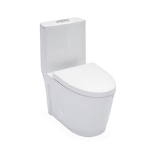 Load image into Gallery viewer, 1 Piece Toilet For Bathroom, Dual Flush 1.24 / 1.6 Gpf, Soft Closing Seat - White