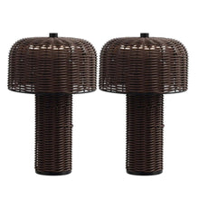Load image into Gallery viewer, USB Table Lamps With Globe Shades (Set of 2) - Dark Brown