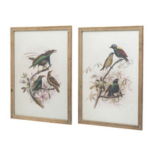 Load image into Gallery viewer, Bird Framed Print (Set of 2) - Multicolor