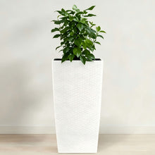 Load image into Gallery viewer, Indoor Outdoor Planter With Automatic Watering System