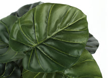 Load image into Gallery viewer, 24" Tall, Artificial Plant, Alocasia, Indoor, Faux, Fake, Table, Greenery, Potted, Real Touch, Decorative - Green / Black