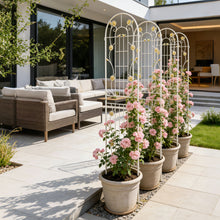 Load image into Gallery viewer, Metal Garden Trellis Rustproof Trellis For Climbing Plant Outdoor Flower Support