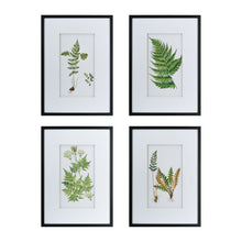 Load image into Gallery viewer, Botanical And Fern Wall Art, Wall Decor For Living Room Dining Room Entryway (Set of 4) - White / Black