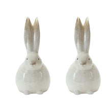 Load image into Gallery viewer, Bunny Rabbit Figurines (Set of 2) - White / Brown