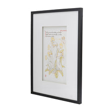 Load image into Gallery viewer, Wall Arts (Set of 2) - Multicolor