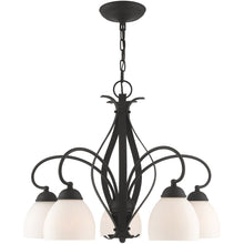 Load image into Gallery viewer, 20" Five Light Dimmable Chandelier With Shades - Black