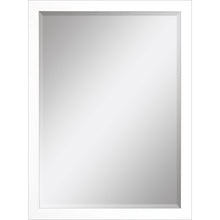 Load image into Gallery viewer, Accent Mirror - White
