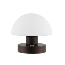Load image into Gallery viewer, Novelty USB Table Lamp With Dome Shade - Antiqued Bronze