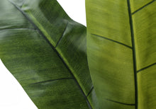 Load image into Gallery viewer, 55" Tall, Artificial Plant, Banana Tree, Indoor, Faux, Fake, Floor, Greenery, Potted, Real Touch, Decorative - Green / Black