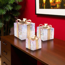 Load image into Gallery viewer, Decorative Boxes With LED (Set of 3) - Clear / Gold