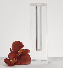 Load image into Gallery viewer, Cylinder Table Vase (386775) - Clear