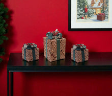 Load image into Gallery viewer, Plastic Decorative Keepsake Box With LED (Set of 3) - Brown / Green