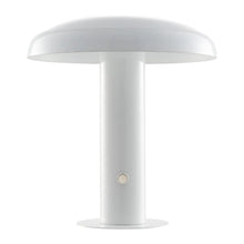 Load image into Gallery viewer, 11" White Novelty USB Table Lamp LED With Globe Shade