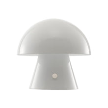 Load image into Gallery viewer, 7" Clear Novelty USB Table Lamp With Globe Shade
