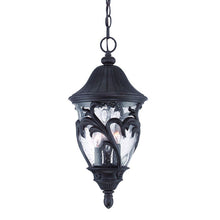 Load image into Gallery viewer, Three Light Leaf Detail Hanging Light - Matte Black