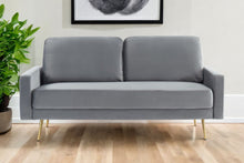 Load image into Gallery viewer, Velvet Sofa With Brass Legs - Gray